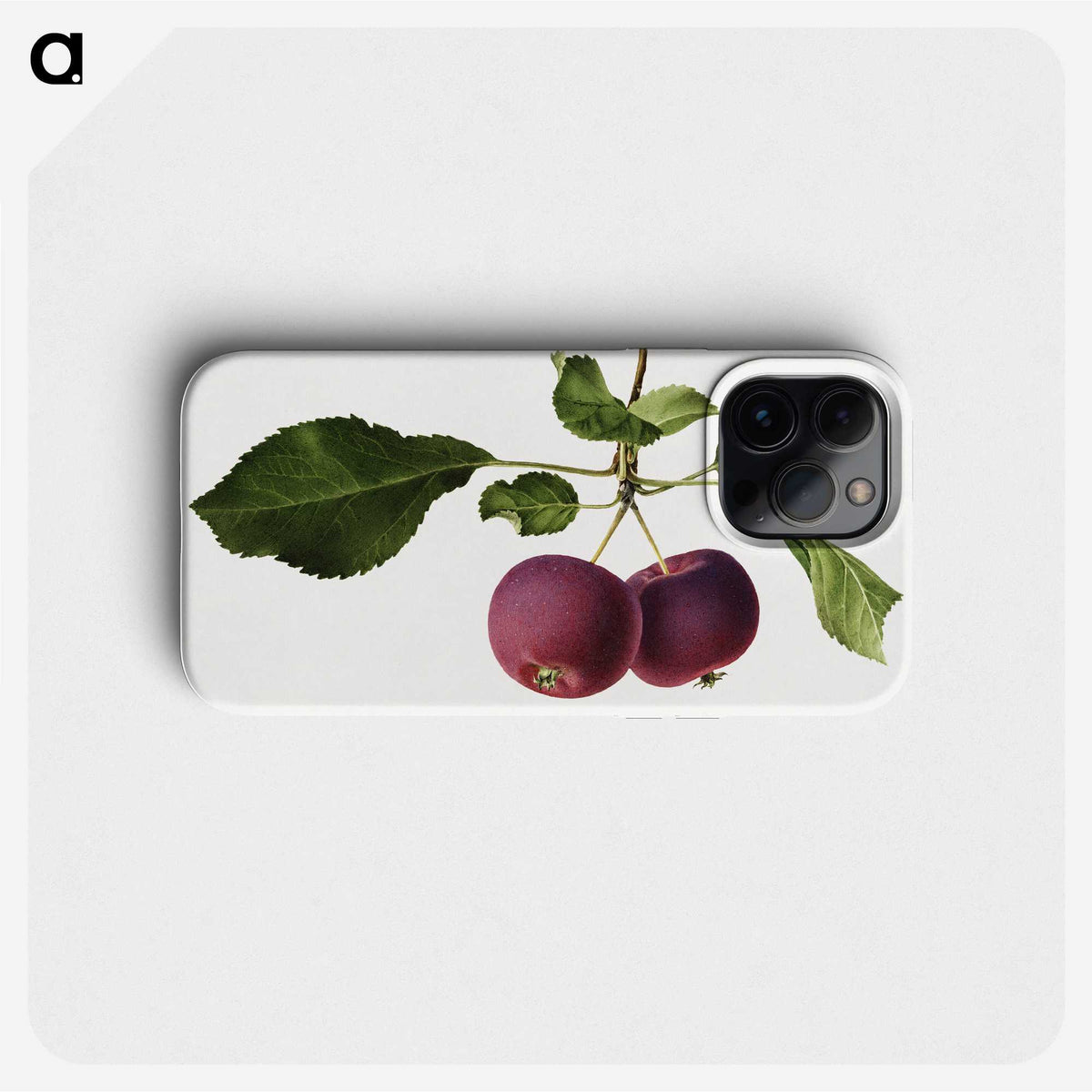 2-63_USDA-Watercolor-Fruit-Painting-Collection_phone