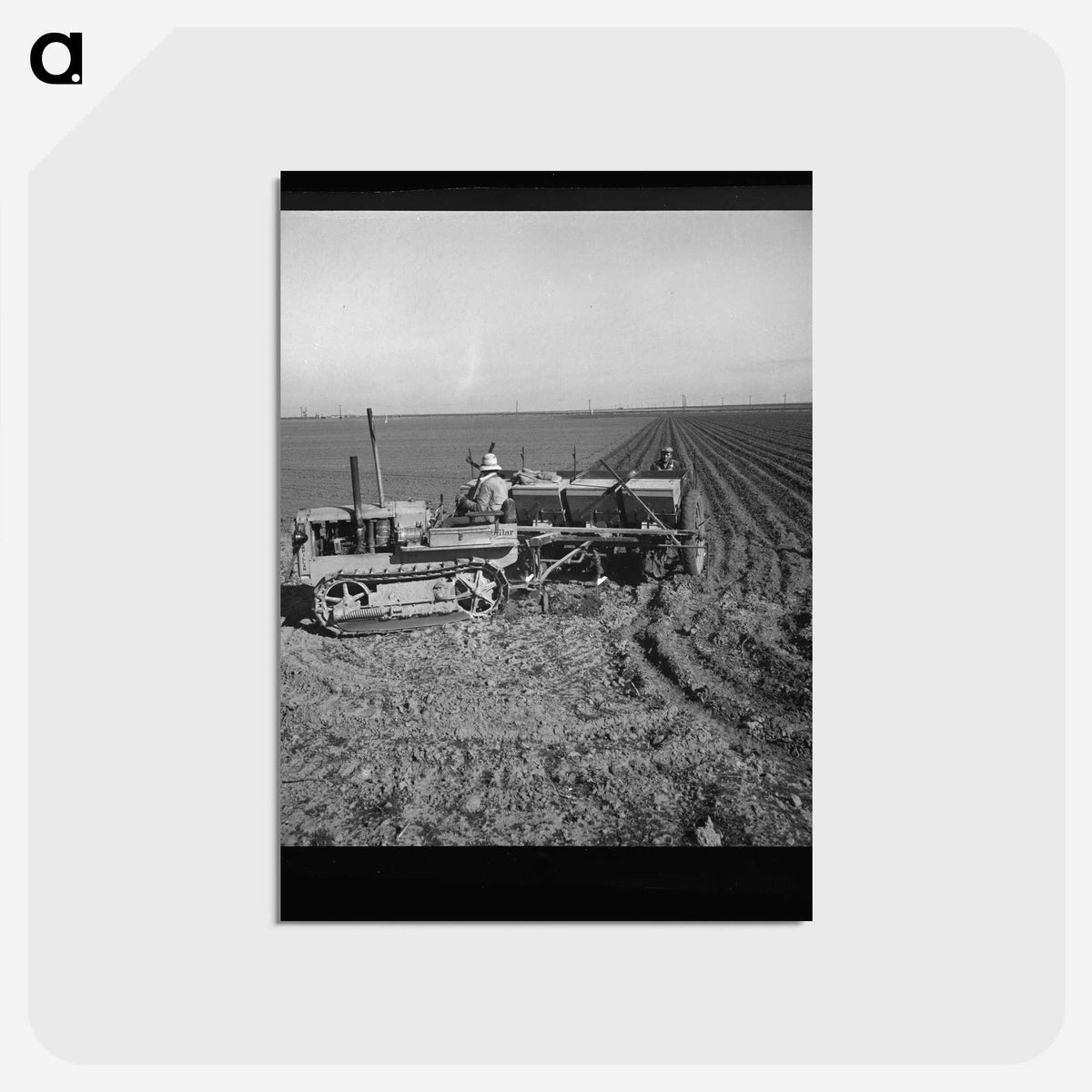 2-64_Dorothea-Lange_postcard