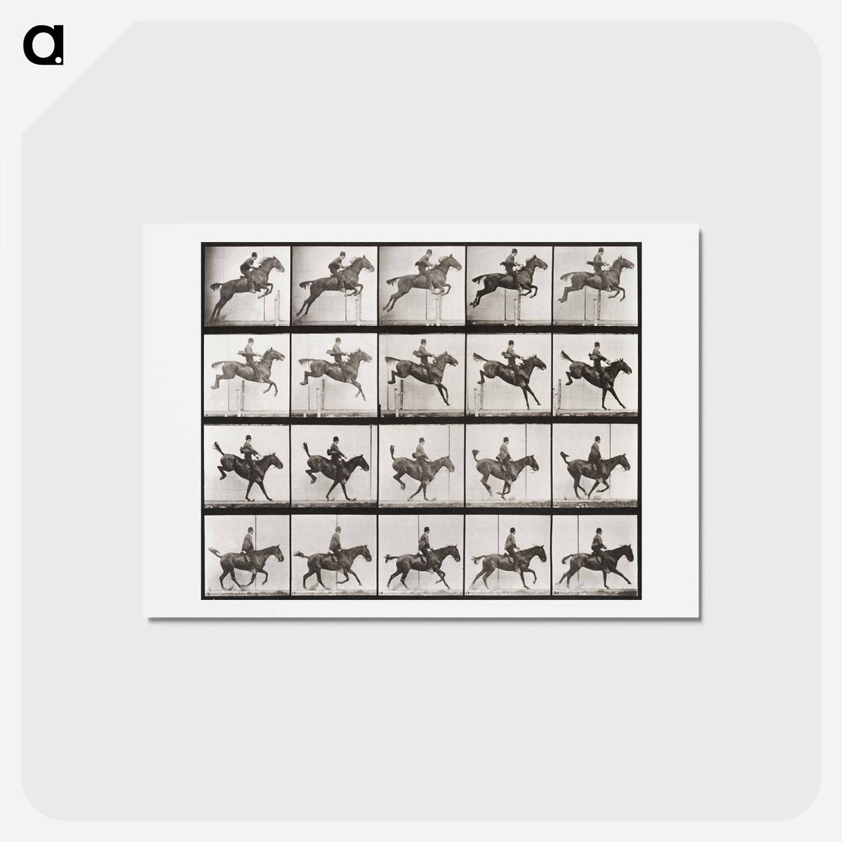 アートポストカード-Animal Locomotion Plate 637
- エドワード マイブリッジ Postcard.