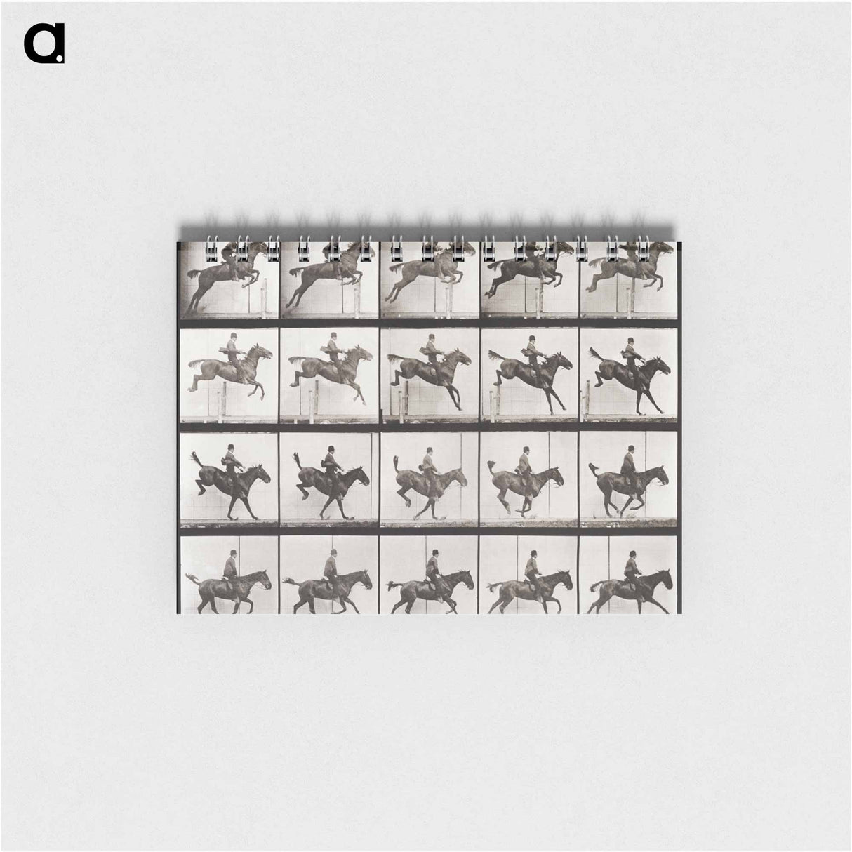 アートメモ帳-Animal Locomotion Plate 637
- エドワード マイブリッジ Memo.