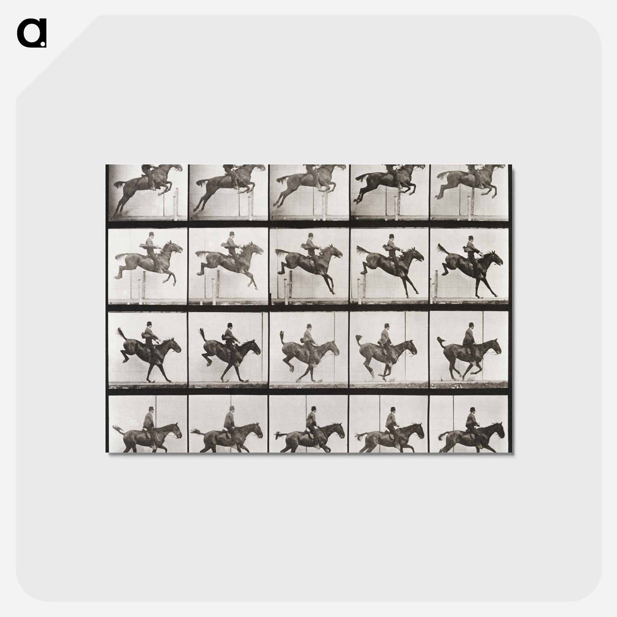 アートポストカード-Animal Locomotion Plate 637
- エドワード マイブリッジ Postcard.