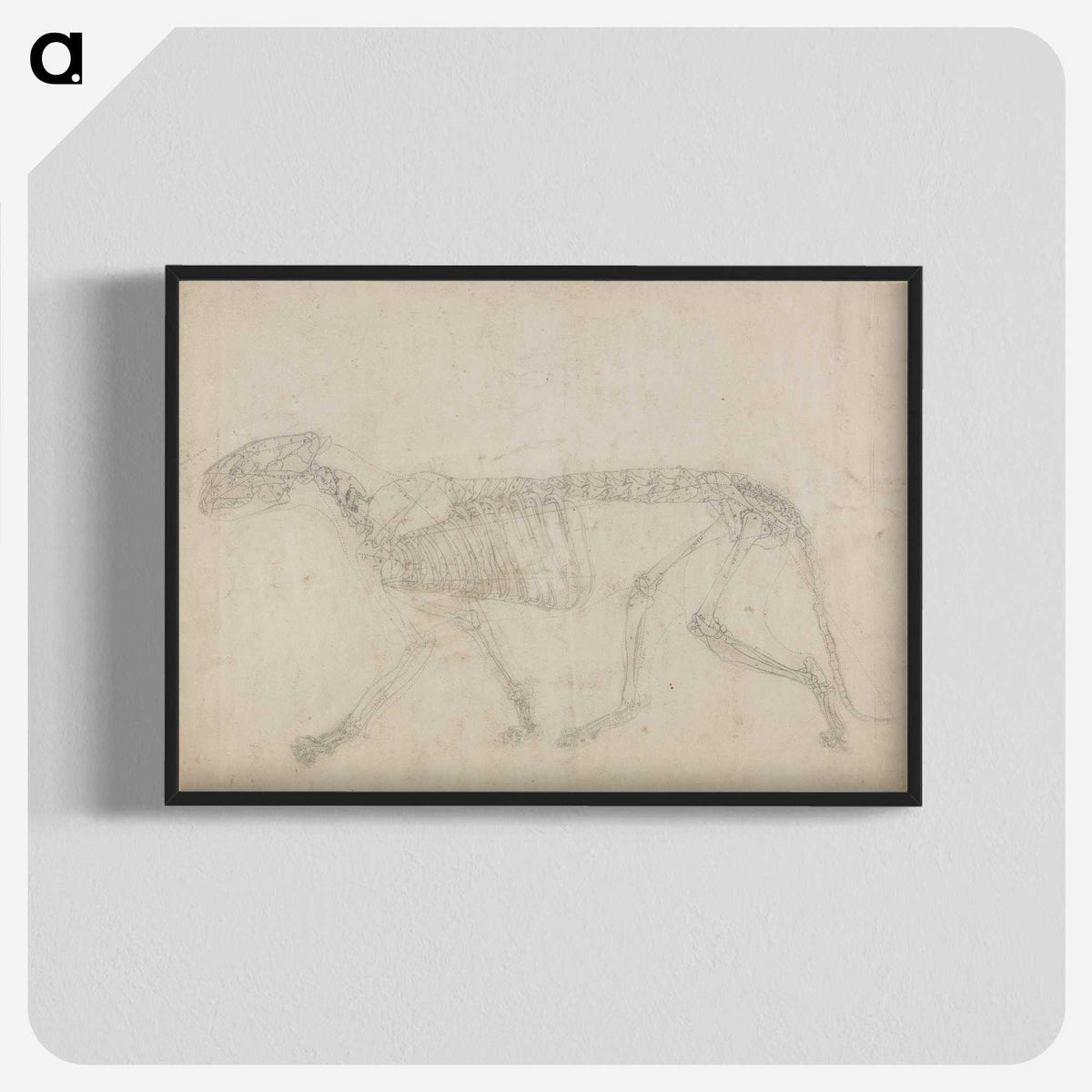 2-64_George-Stubbs_blk-crop