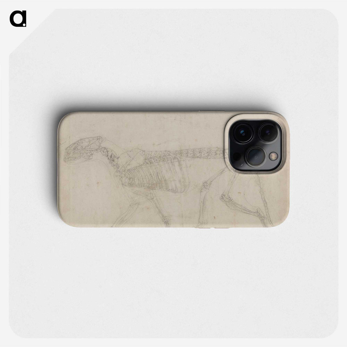 2-64_George-Stubbs_phone