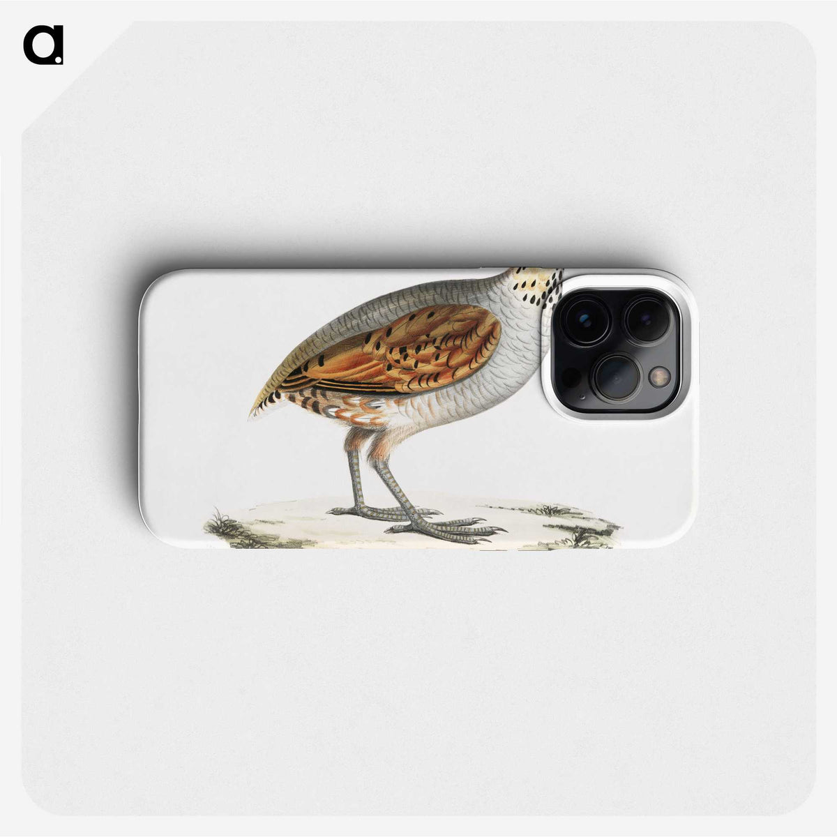 2-64_Indian-Zoology_phone