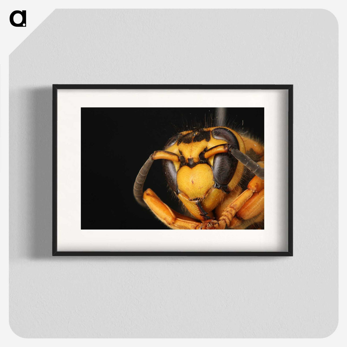 2-64_Insects-Unlocked-Project_blk