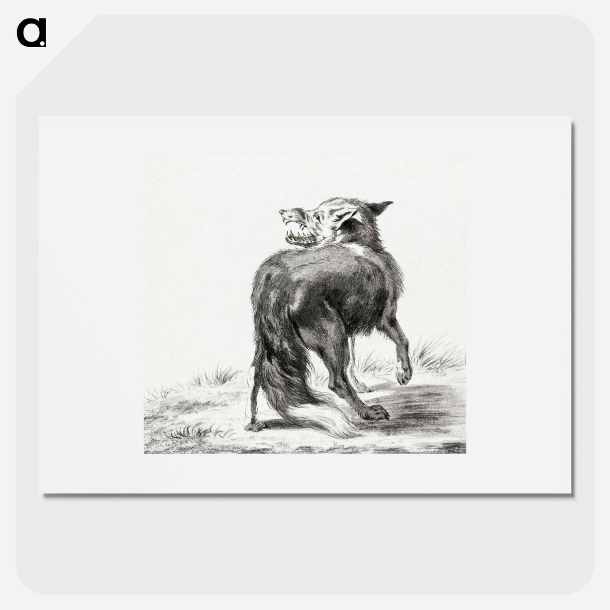 Fox - ジャン ベルナール Poster.