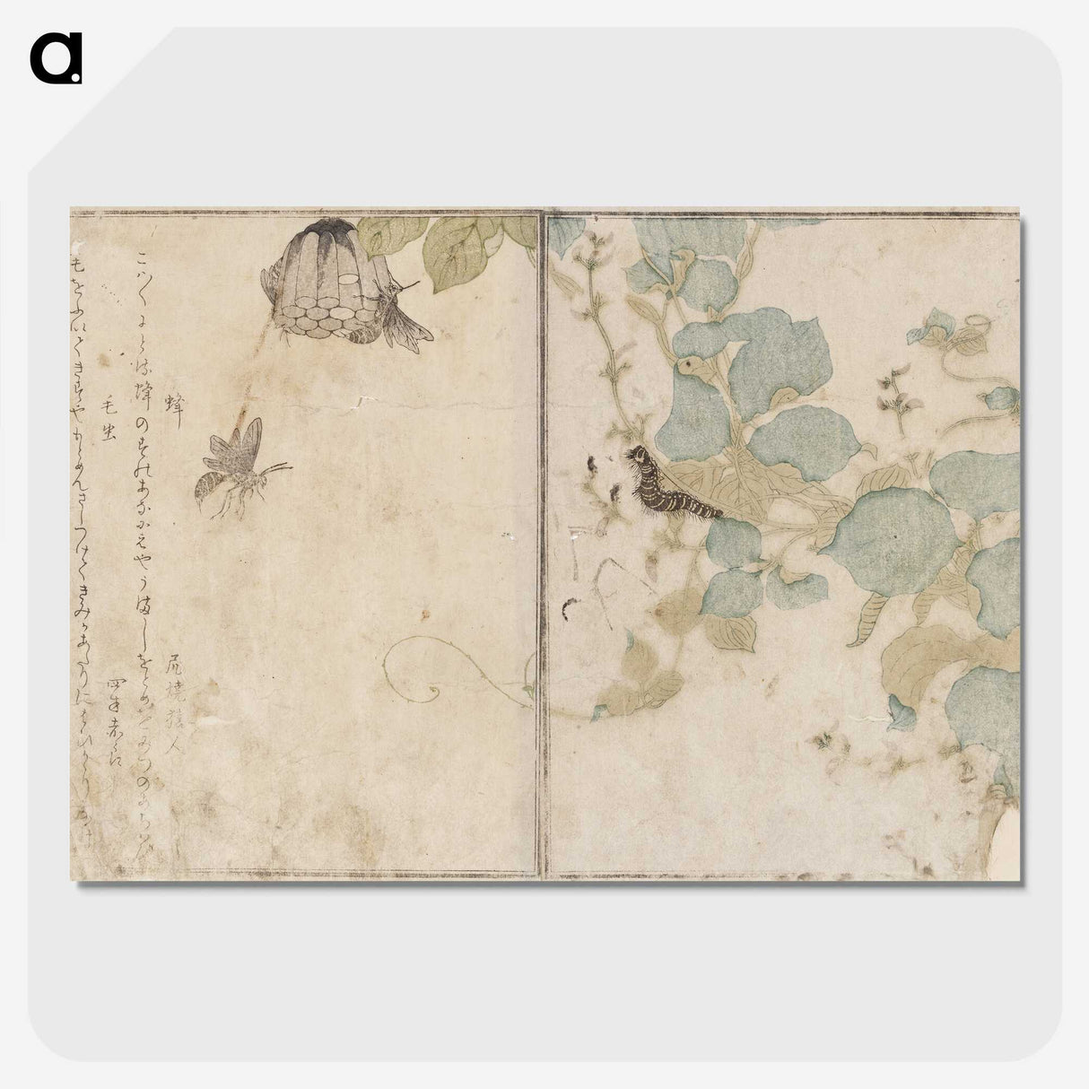 2-64_Kitagawa-Utamaro_picture-crop