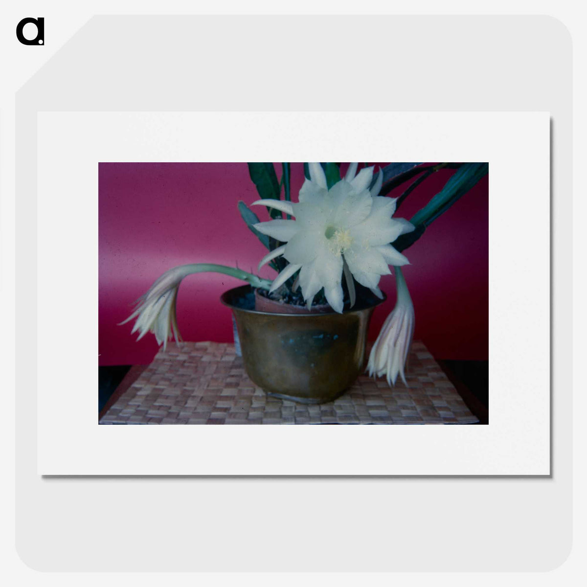 2-64_Leslie-Adkin_picture
