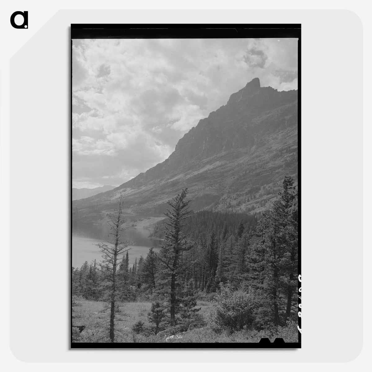 2-64_Marion-Post-Wolcott_picture-crop