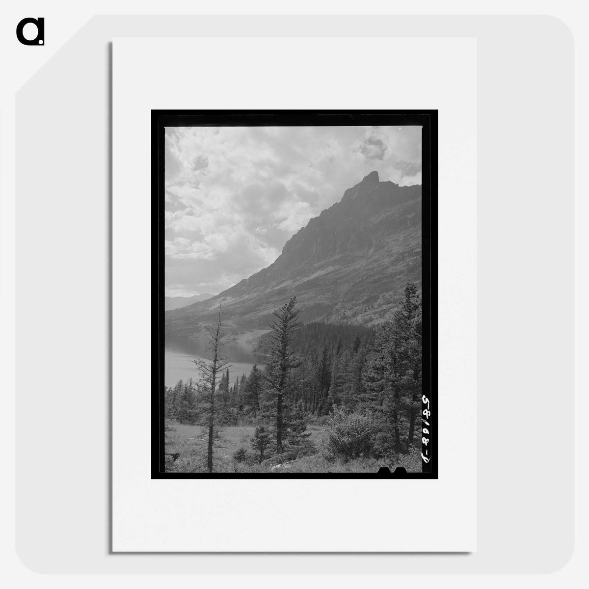 2-64_Marion-Post-Wolcott_picture
