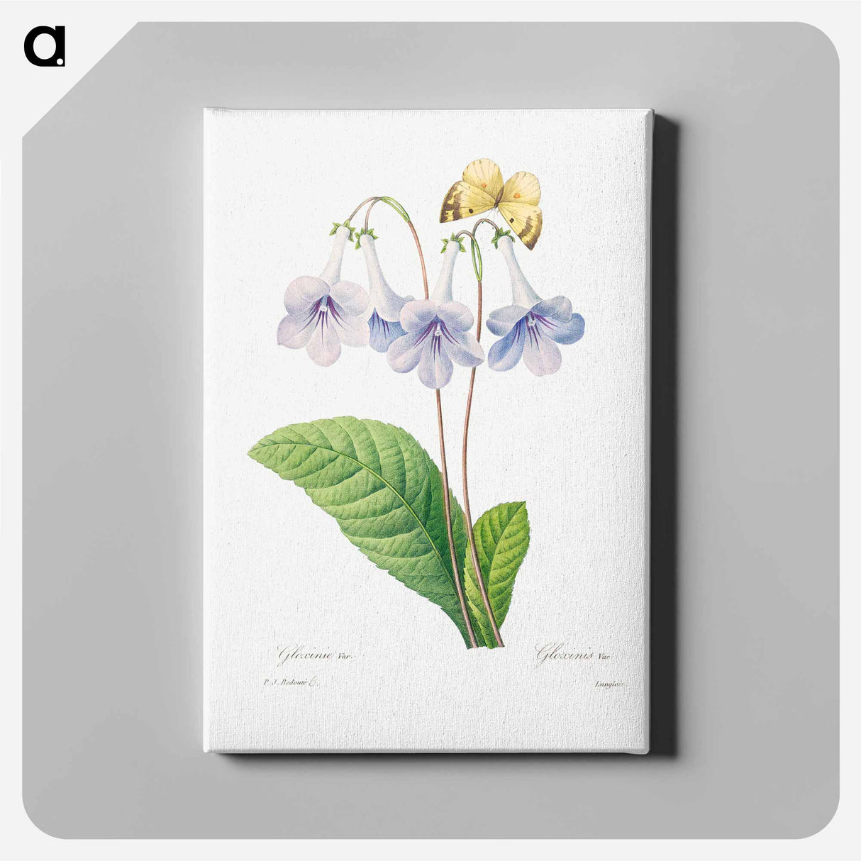 Canterbury - Pierre Joseph Redouté Canvas.