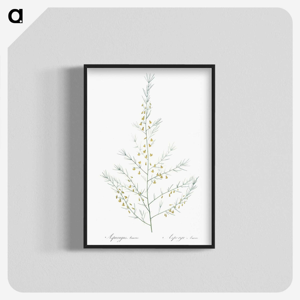 2-64_The-Lilies_blk-crop