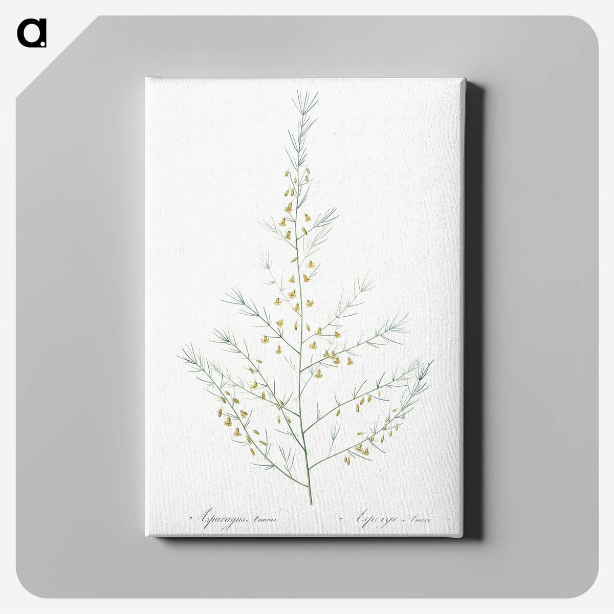 2-64_The-Lilies_canvas