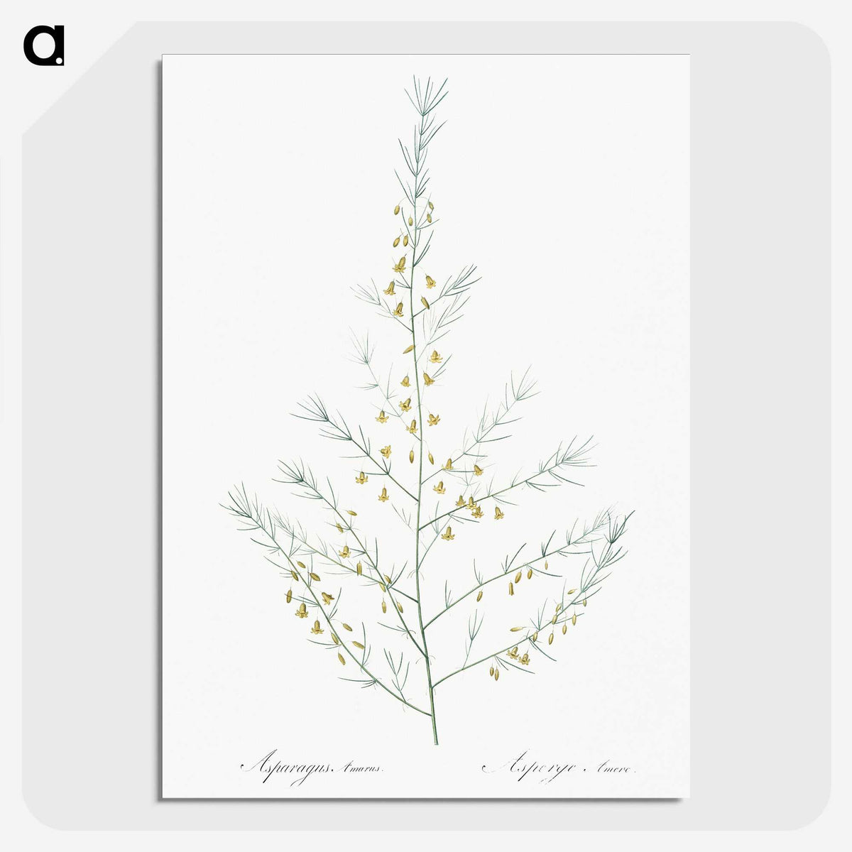 2-64_The-Lilies_picture-crop