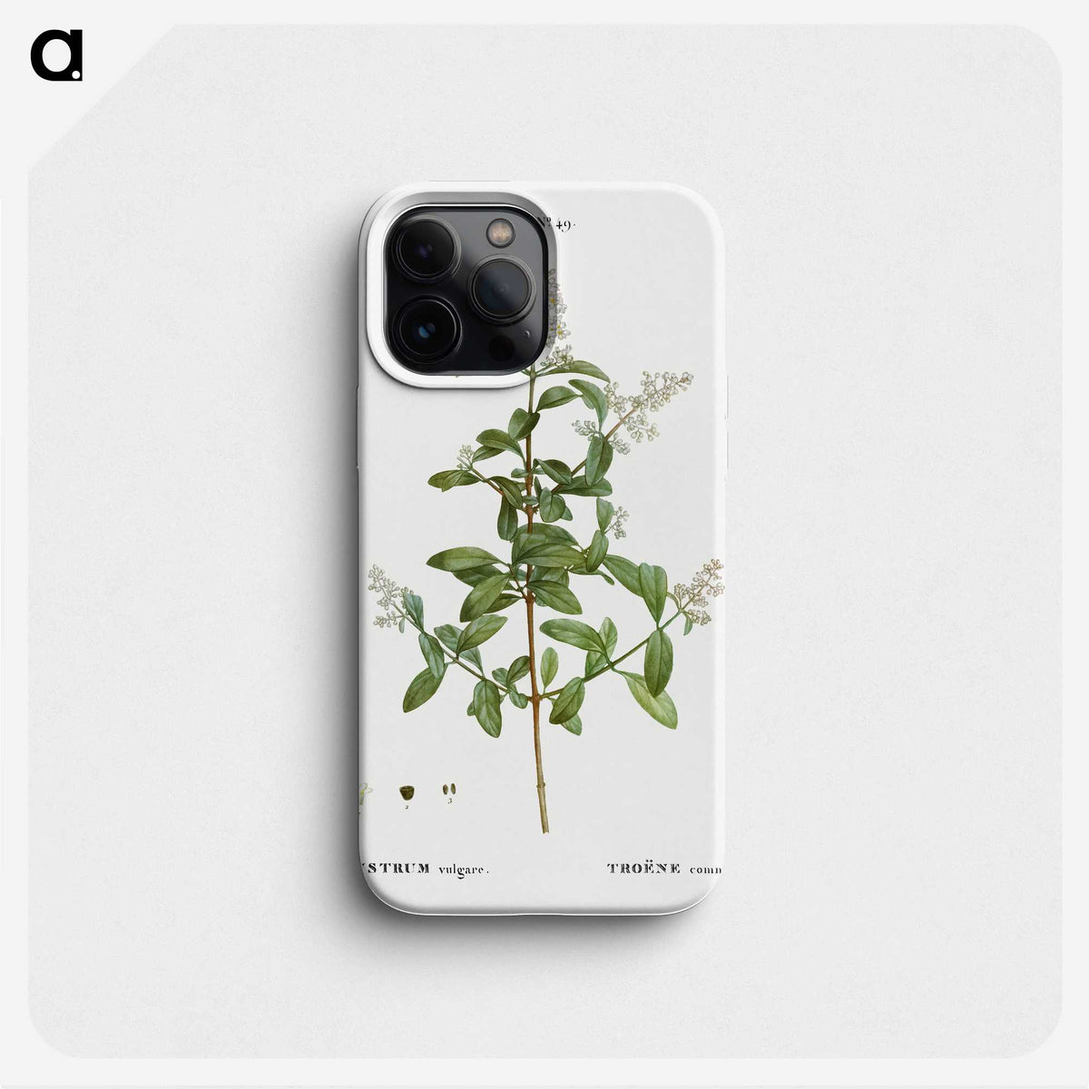 2-64_Treatise-on-Trees-and-Shrubs_phone