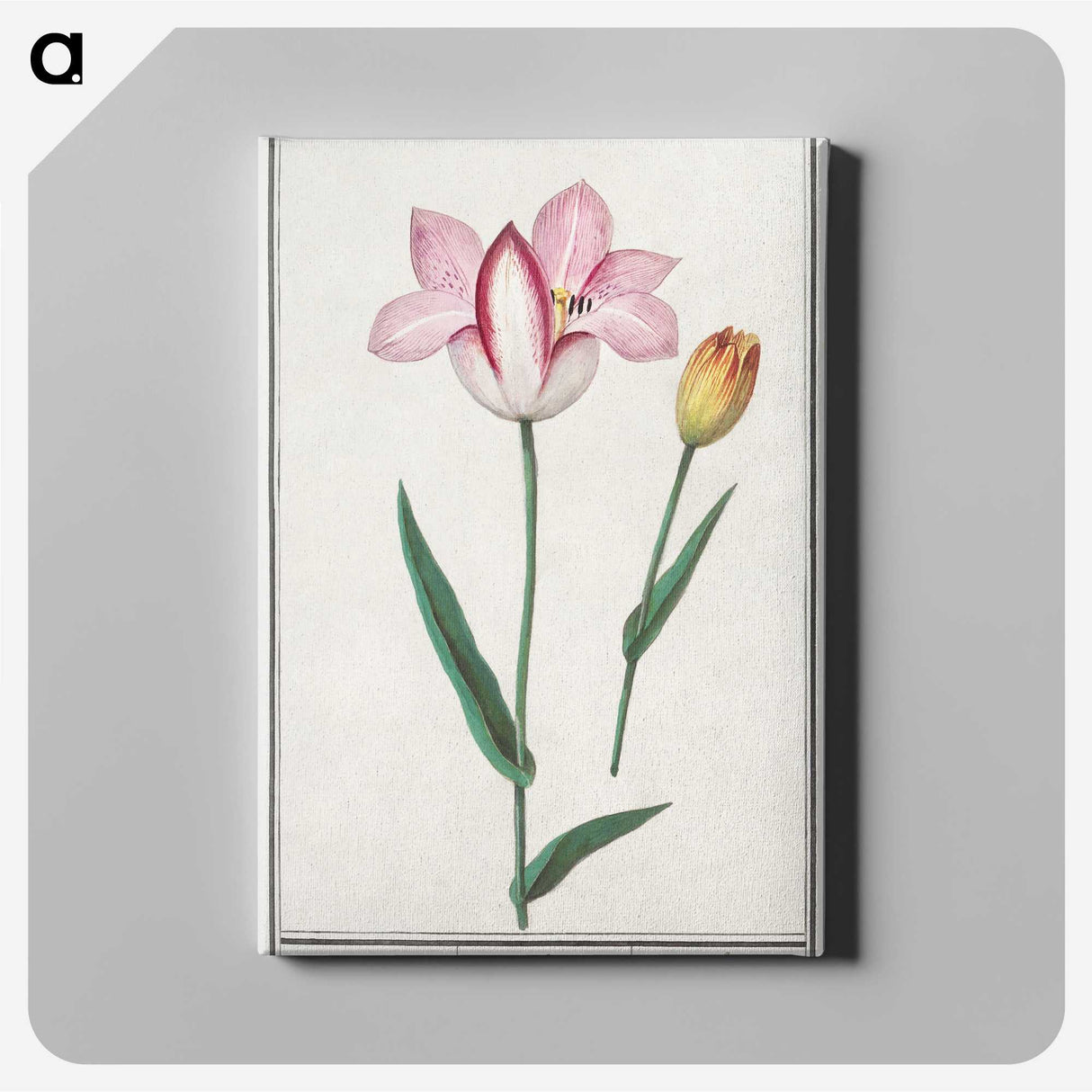 2-65_Anselmus-Boetius-de-Boodt_canvas