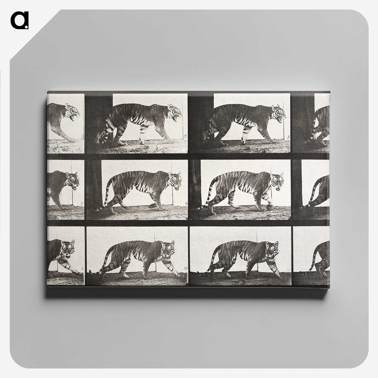 2-65_Eadweard-Muybridge_canvas