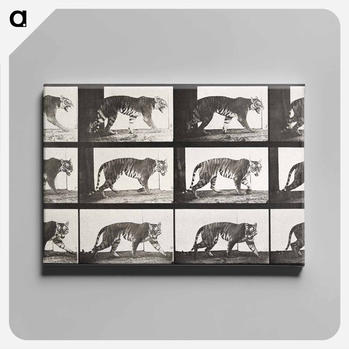 アートパネル-Animal Locomotion Plate 729
- エドワード マイブリッジ Canvas.
