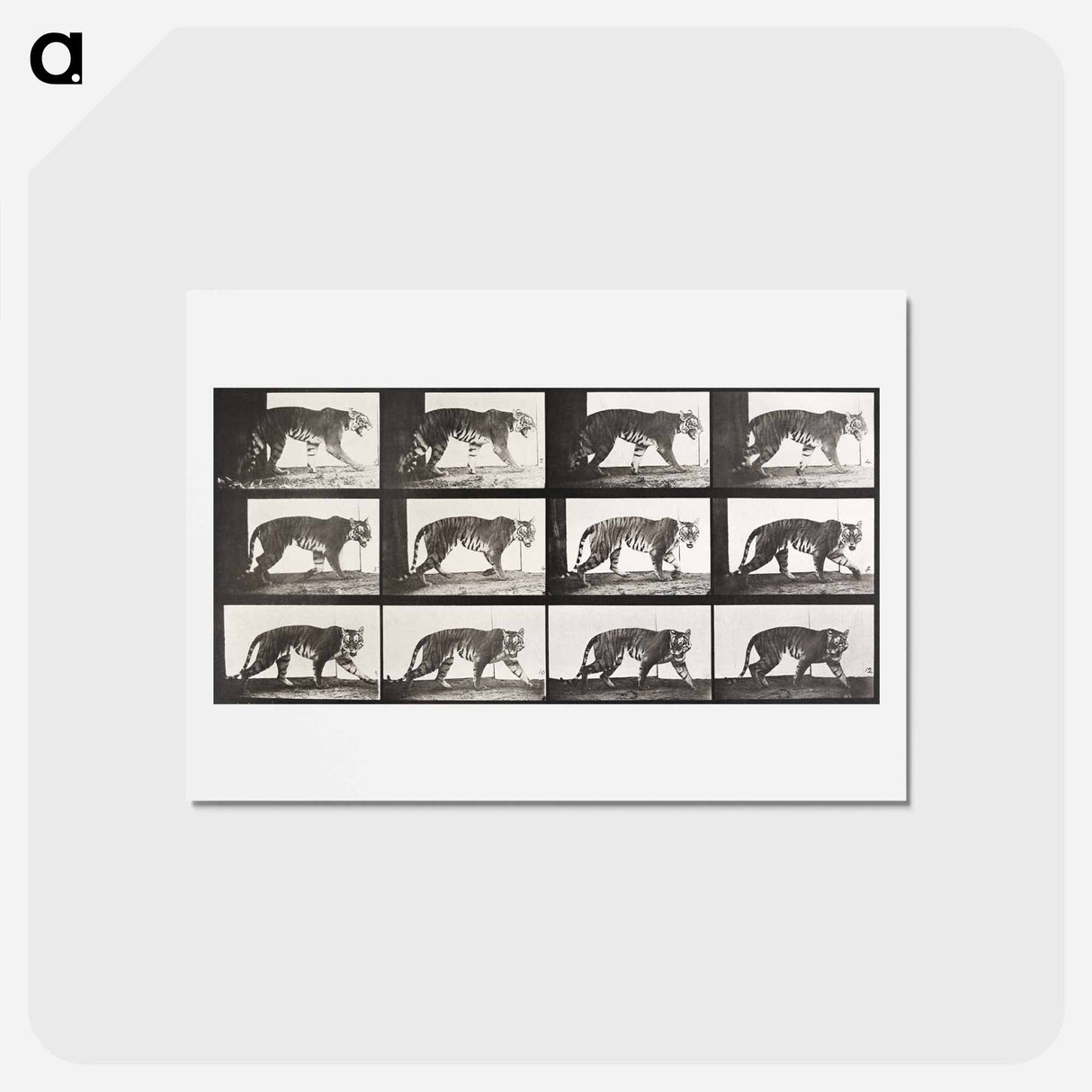アートポストカード-Animal Locomotion Plate 729
- エドワード マイブリッジ Postcard.