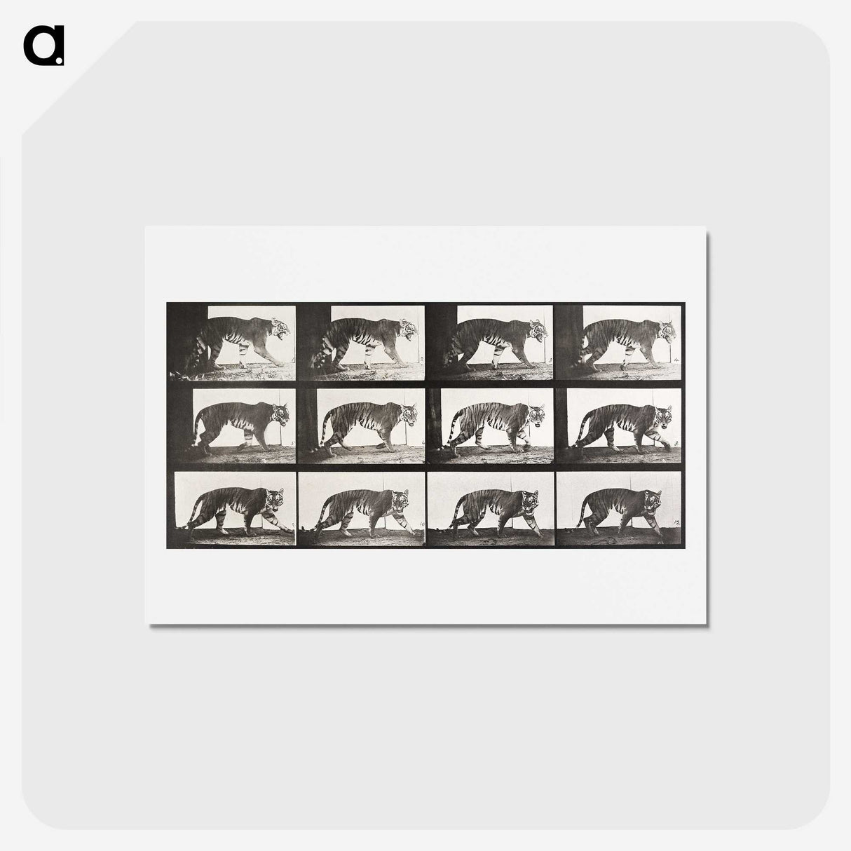 2-65_Eadweard-Muybridge_hagaki