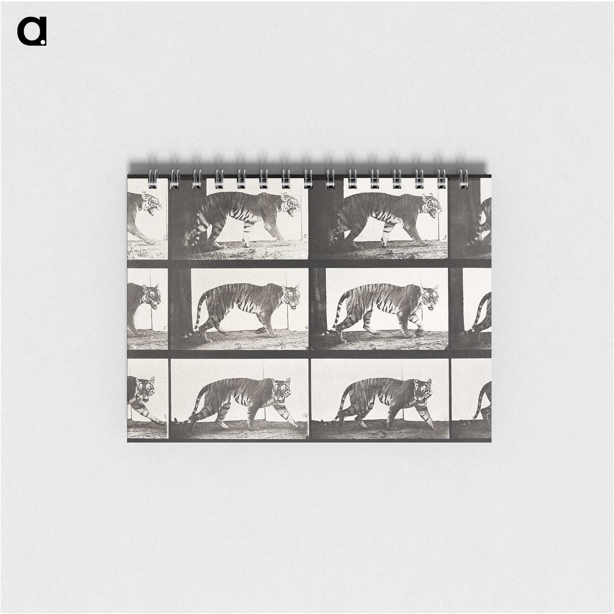 2-65_Eadweard-Muybridge_memo