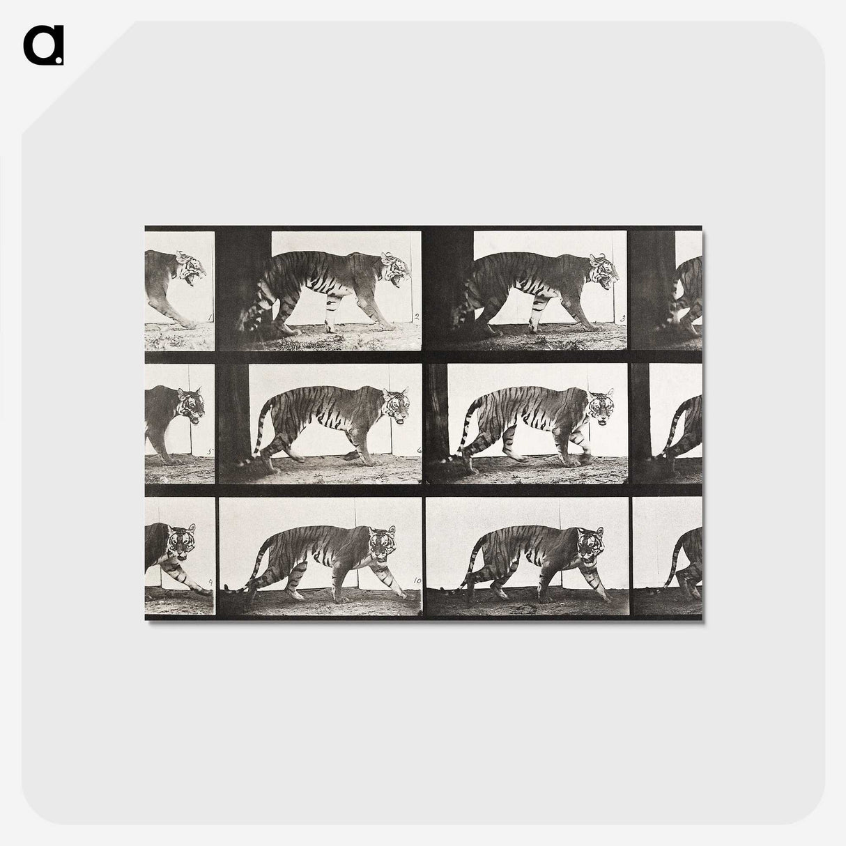 2-65_Eadweard-Muybridge_postcard