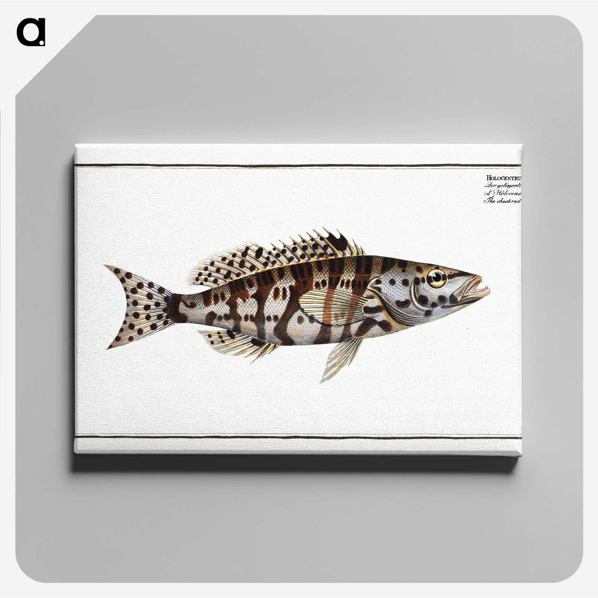 2-65_Ichtyologie-ou-Histoire-naturelle_canvas