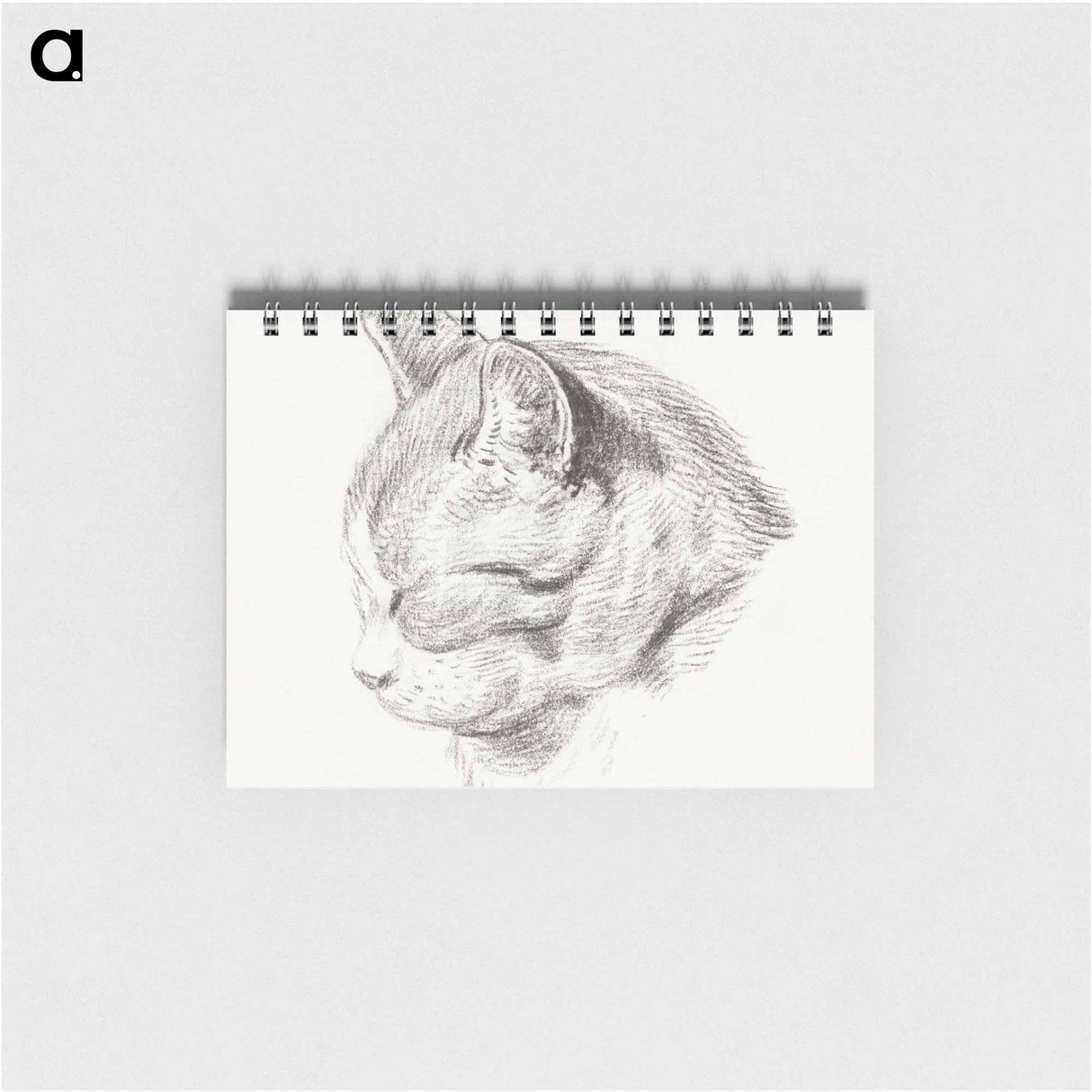 Sketch of a cat - ジャン ベルナール Memo.