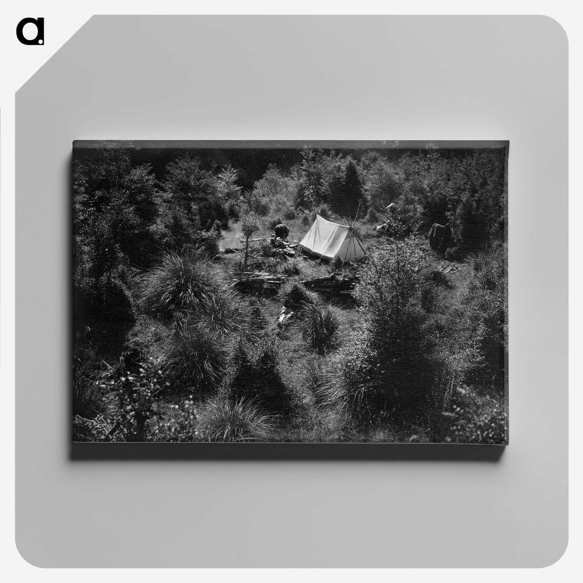 2-65_Leslie-Adkin_canvas