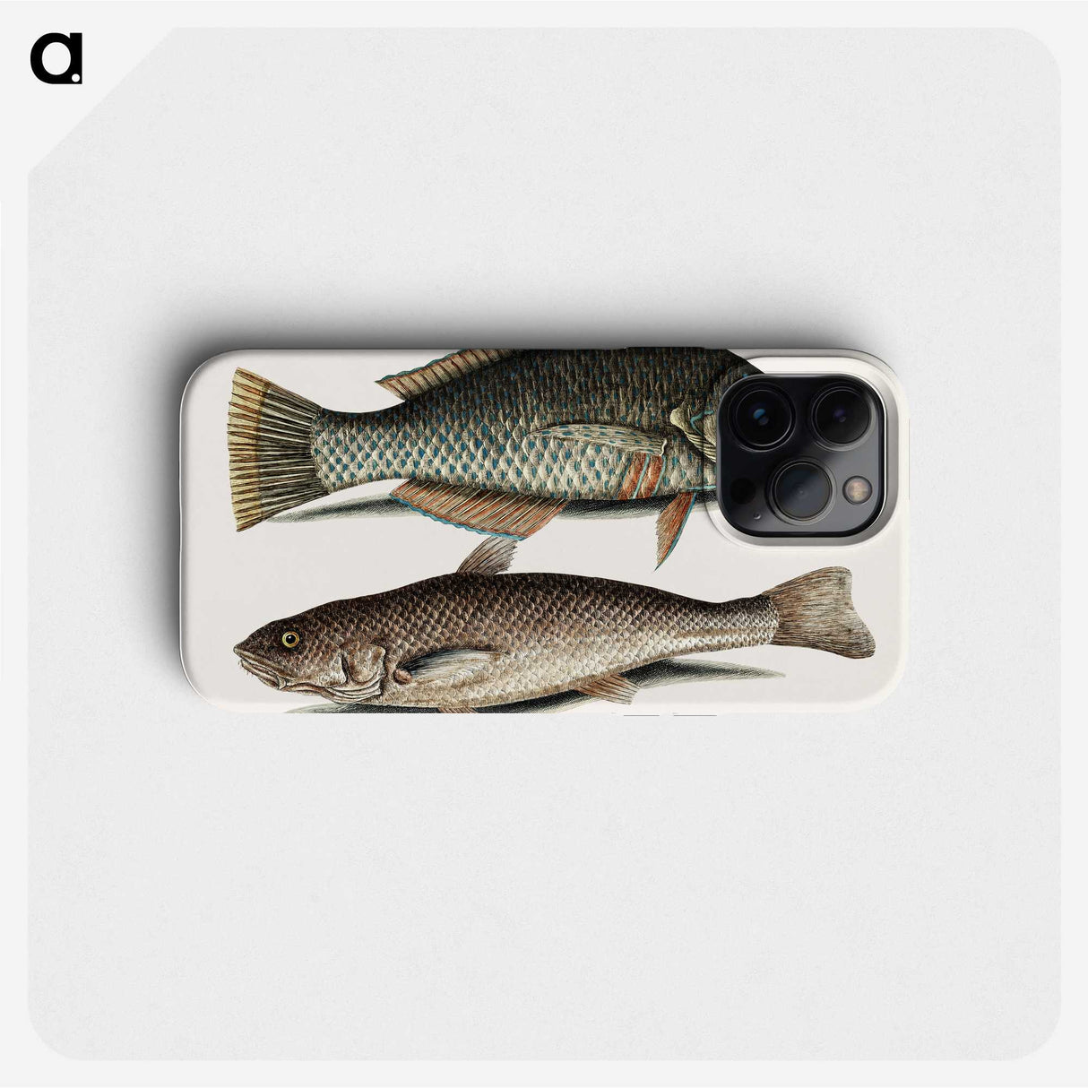 2-65_Mark-Catesby_phone