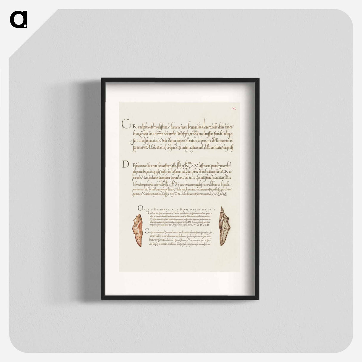 アートポスター-Butterfly Pupae from Mira Calligraphiae Monumenta
- 書道のお手本 Poster.