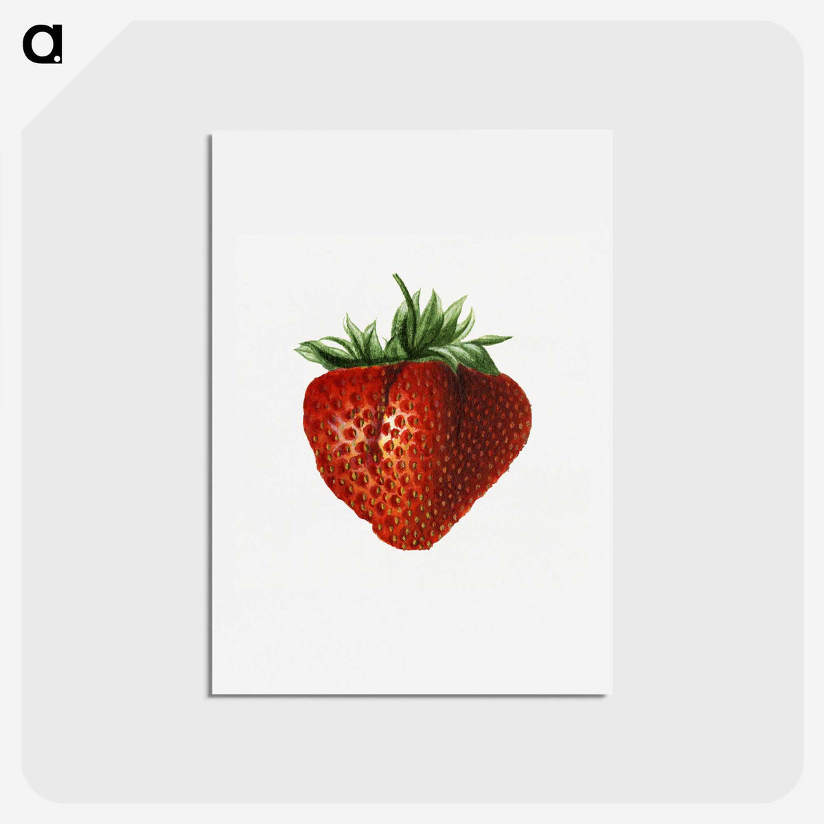 2-65_USDA-Watercolor-Fruit-Painting-Collection_hagaki