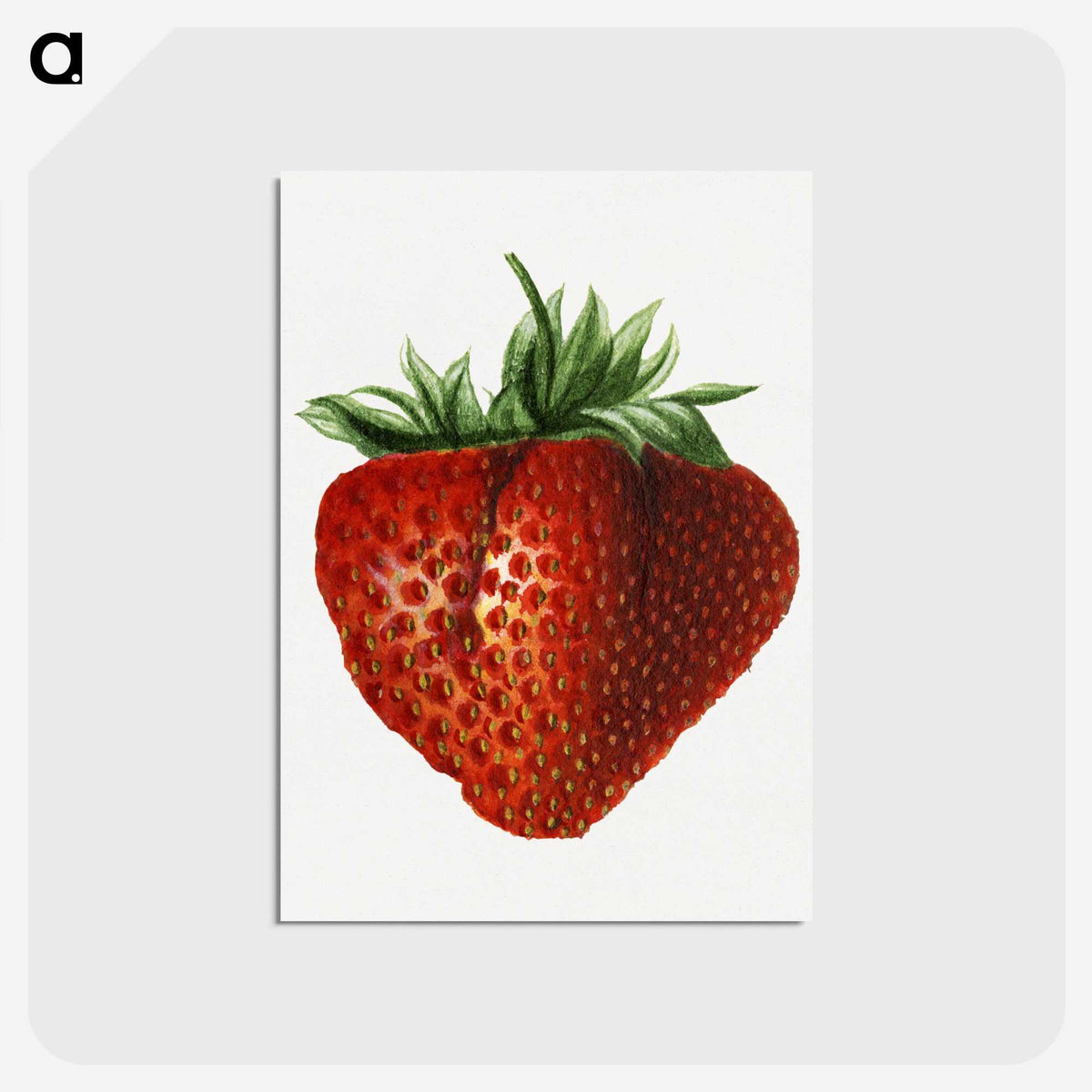 2-65_USDA-Watercolor-Fruit-Painting-Collection_postcard