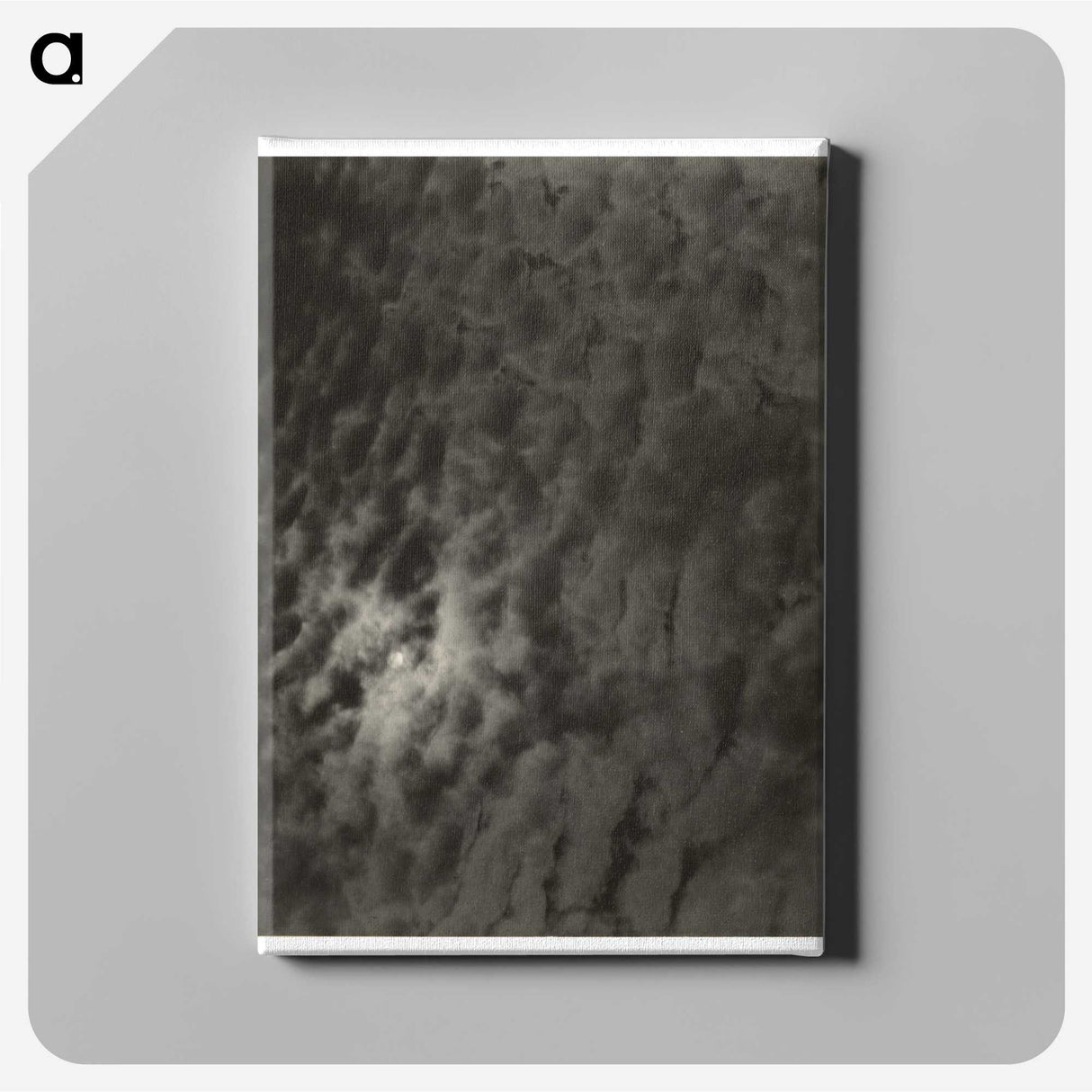 2-66_Alfred-Stieglitz_canvas
