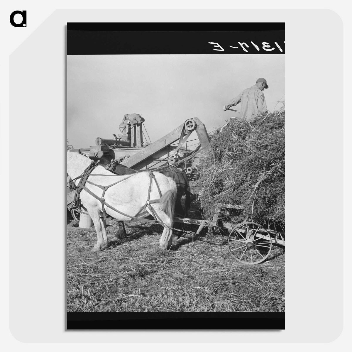 2-66_Dorothea-Lange_picture-crop