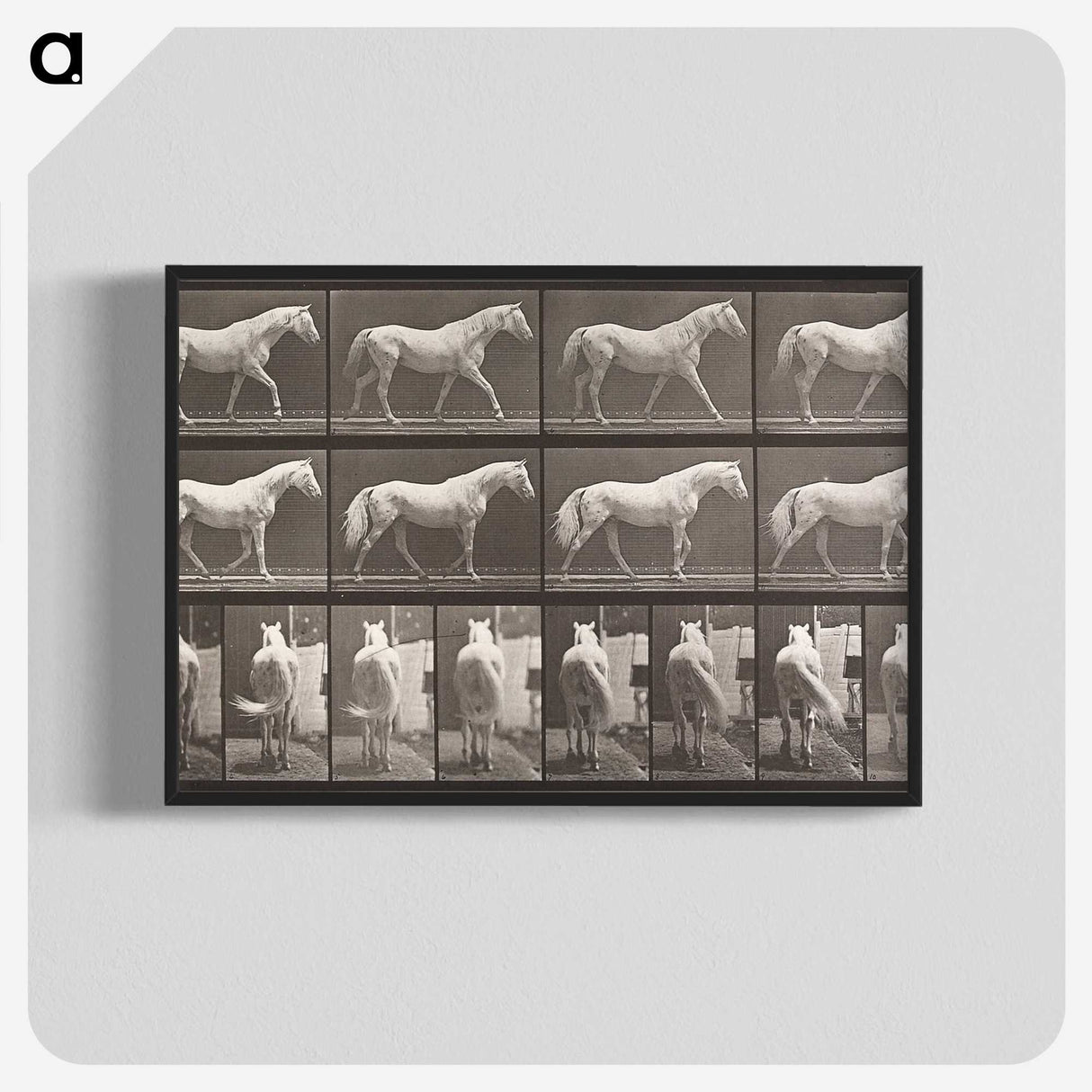 2-66_Eadweard-Muybridge_blk-crop
