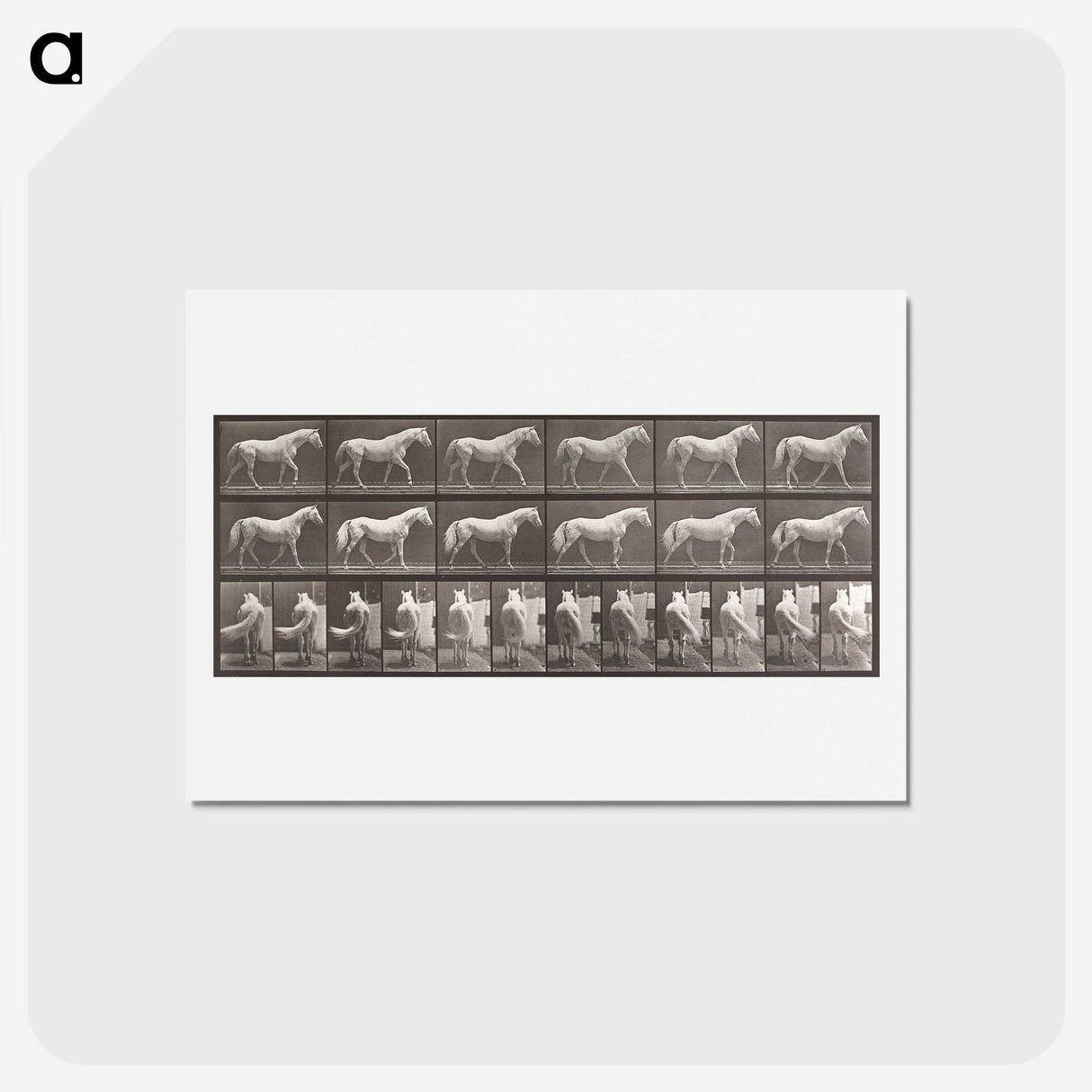 2-66_Eadweard-Muybridge_hagaki