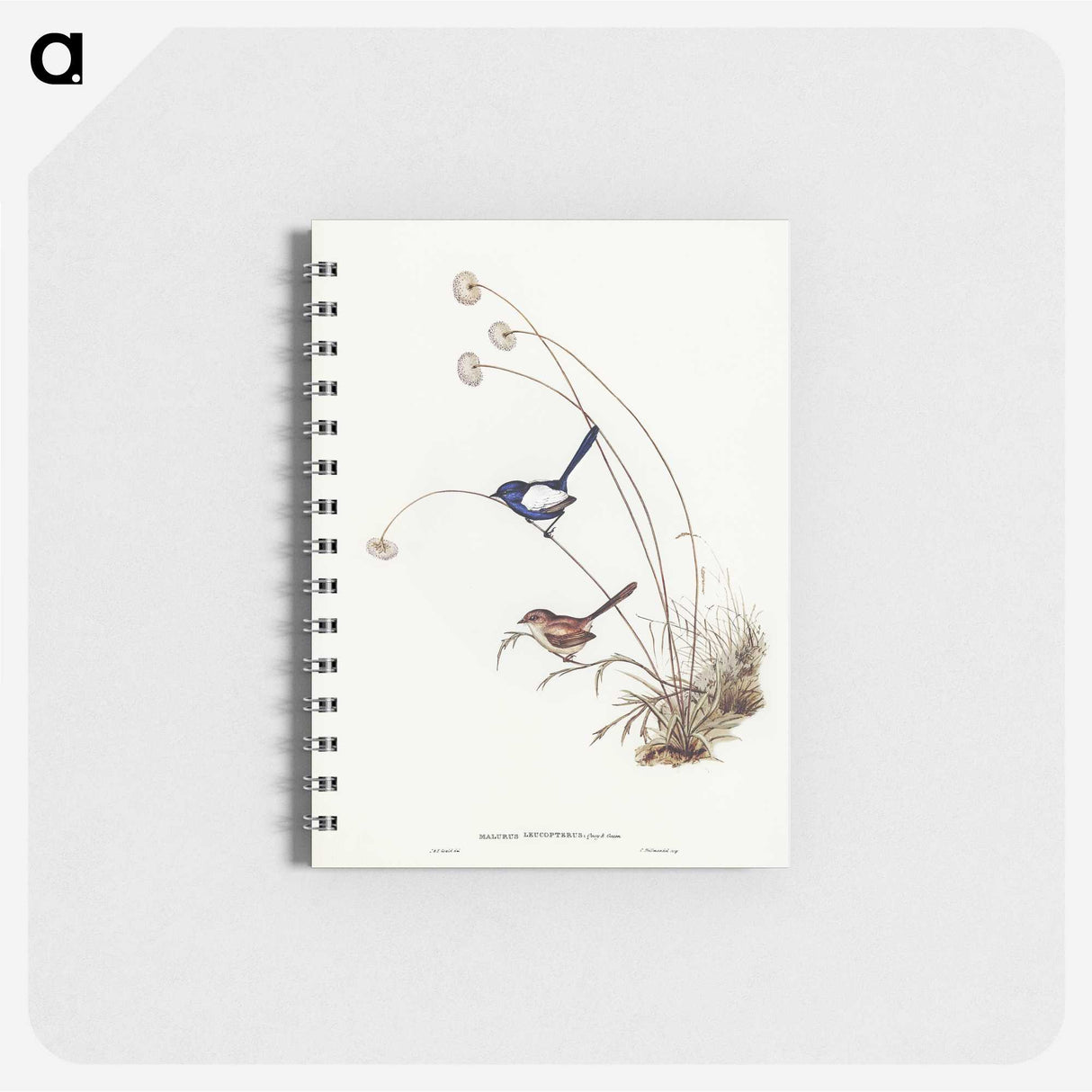 2-66_John-Gould_memo