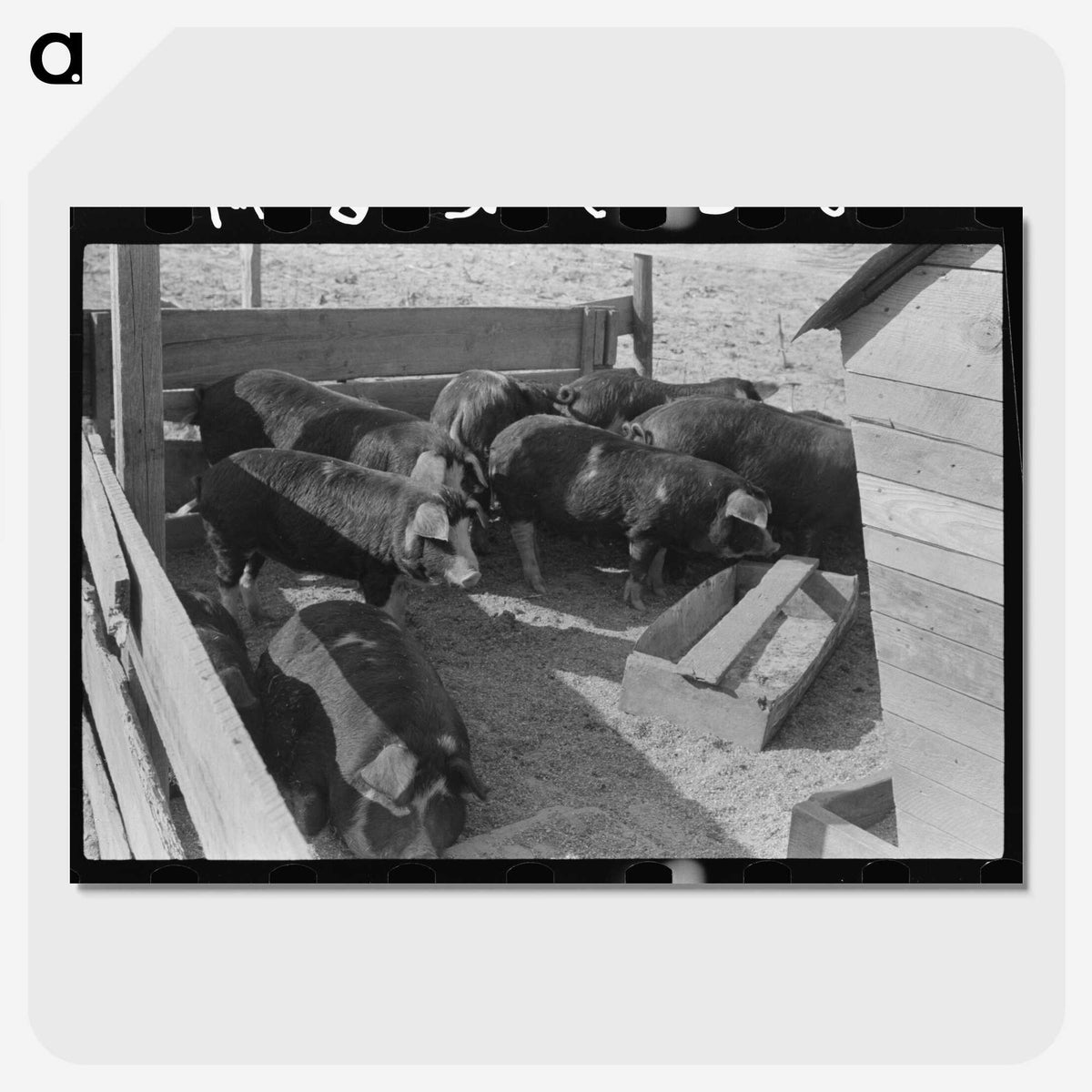 2-66_Marion-Post-Wolcott_picture-crop