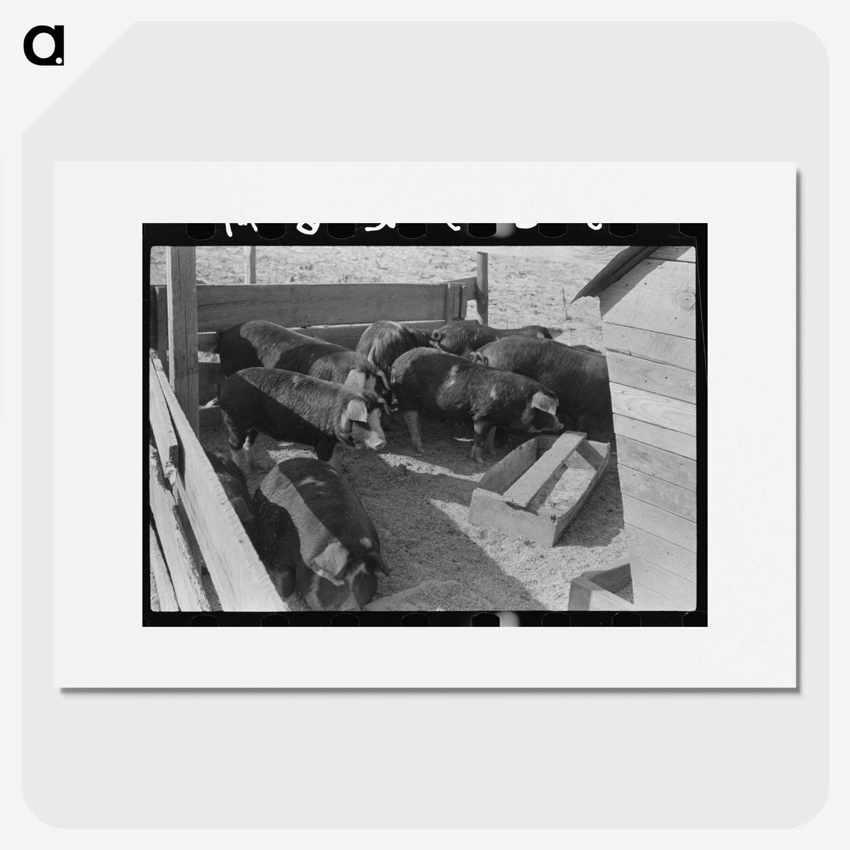 2-66_Marion-Post-Wolcott_picture