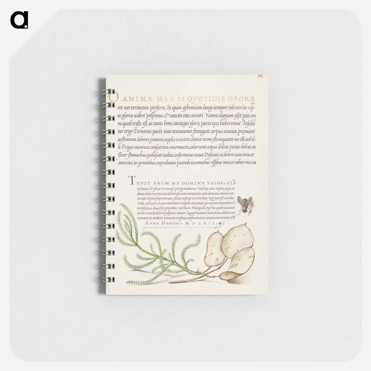アートメモ帳-House Fly, Lavender Cotton, and Money Plant from Mira Calligraphiae Monumenta
- 書道のお手本 Memo.