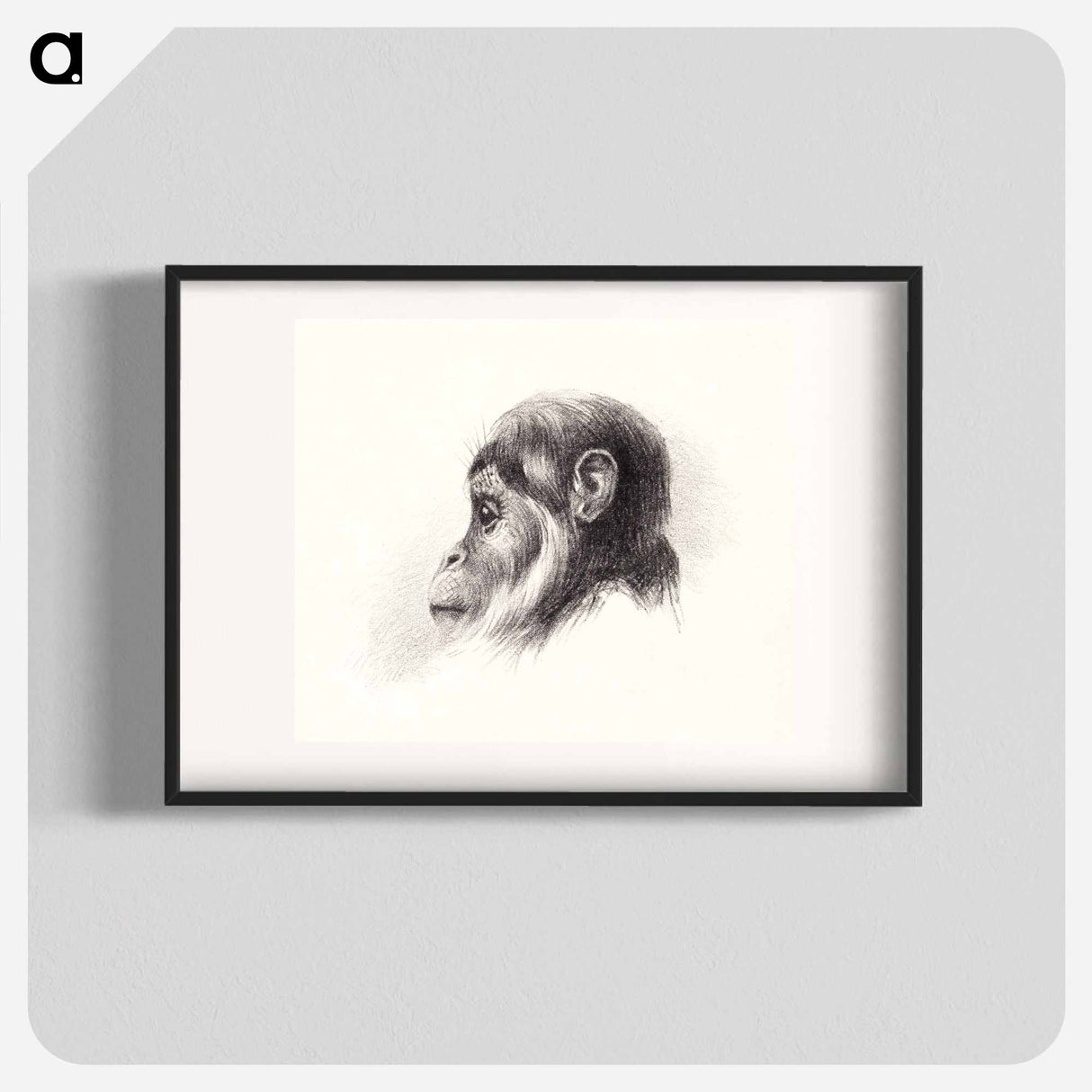 Apenkop - Theo van Hoytema Poster.