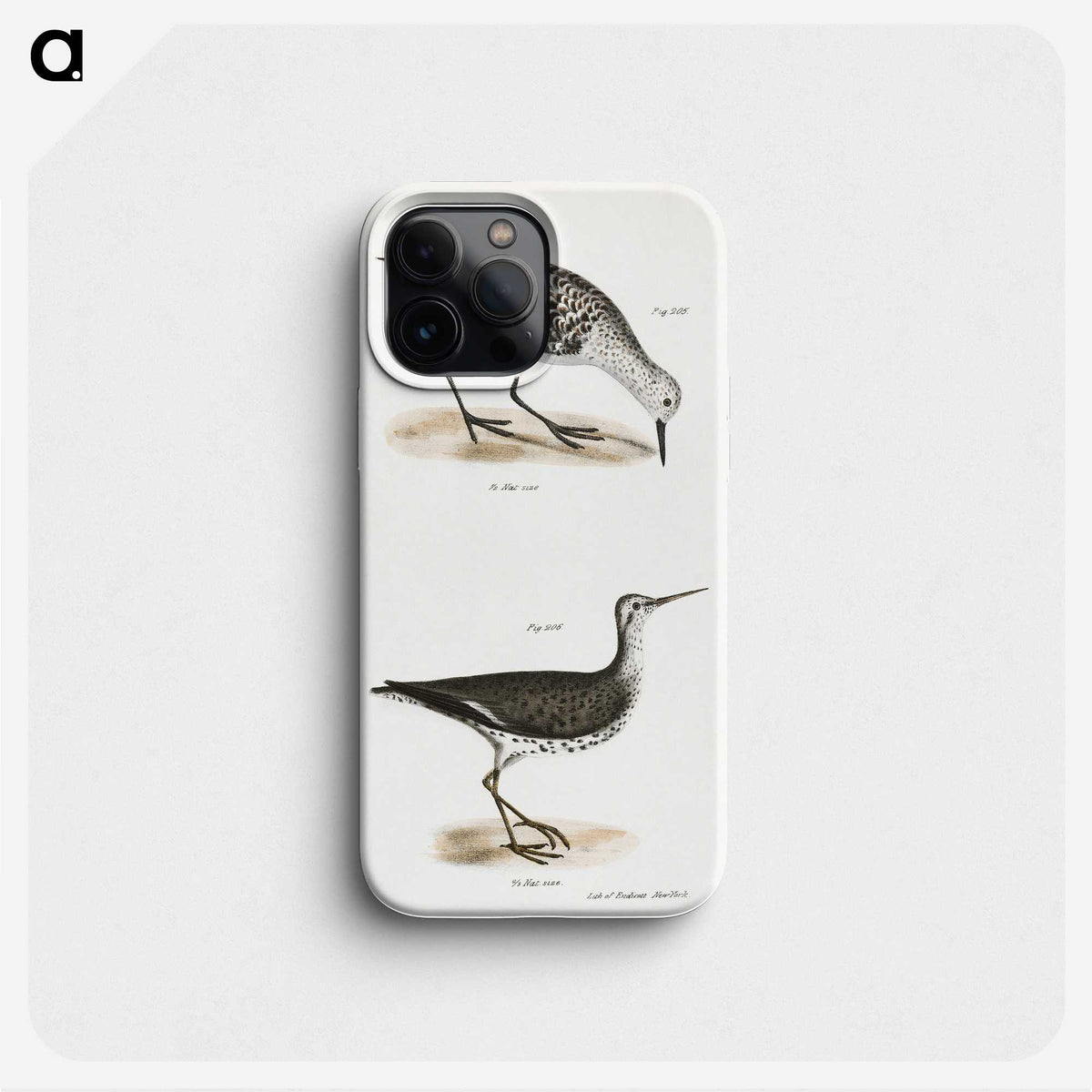 2-66_Zoology-of-New-York_phone