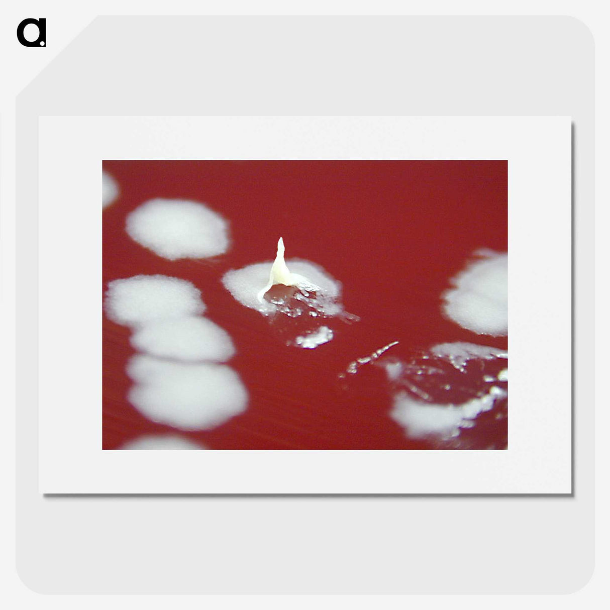2-67_COVID-19_picture