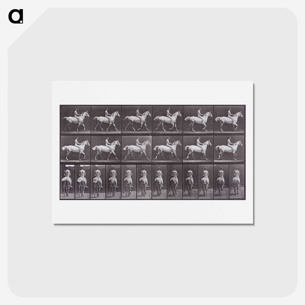 2-67_Eadweard-Muybridge_hagaki