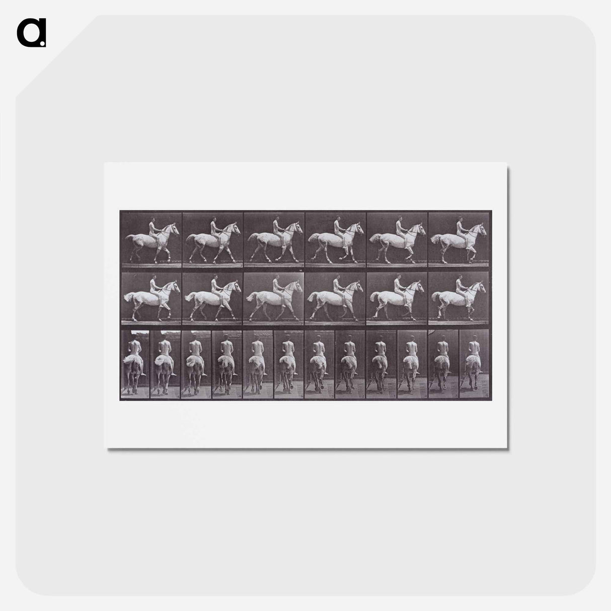 アートポストカード-Animal Locomotion
- エドワード マイブリッジ Postcard.