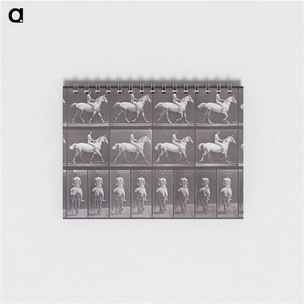 2-67_Eadweard-Muybridge_memo
