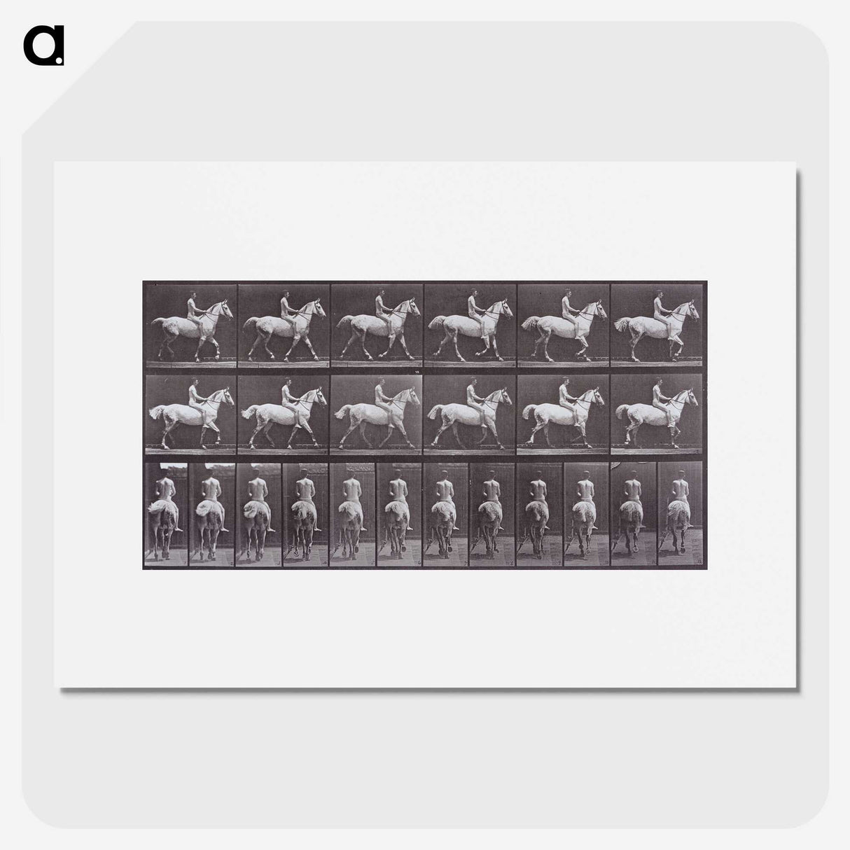 2-67_Eadweard-Muybridge_picture