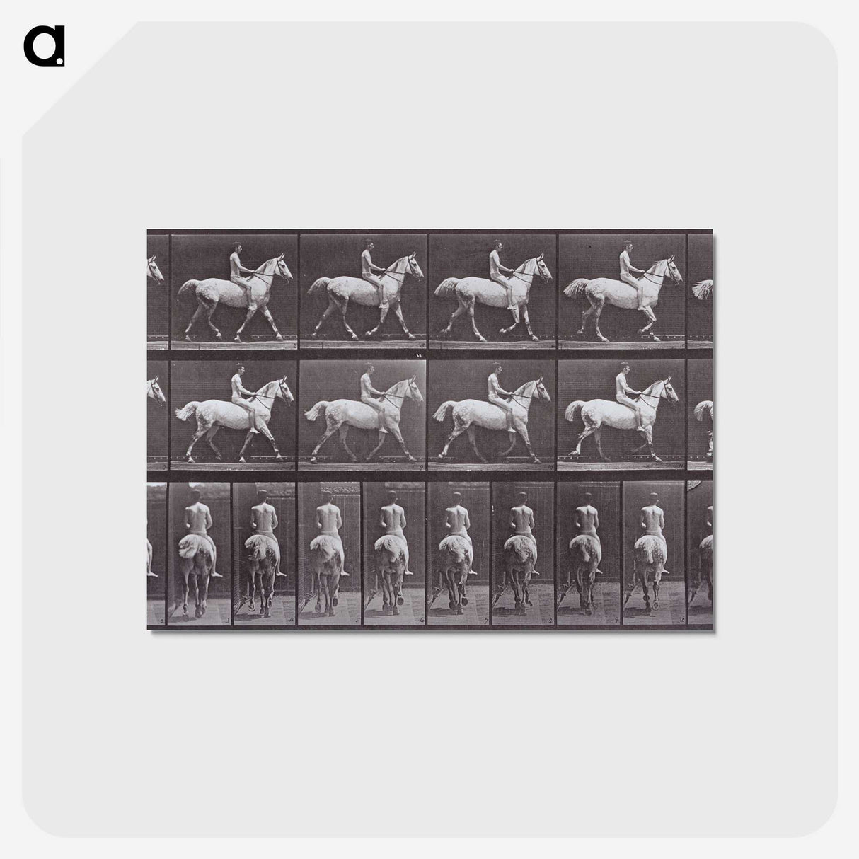 2-67_Eadweard-Muybridge_postcard
