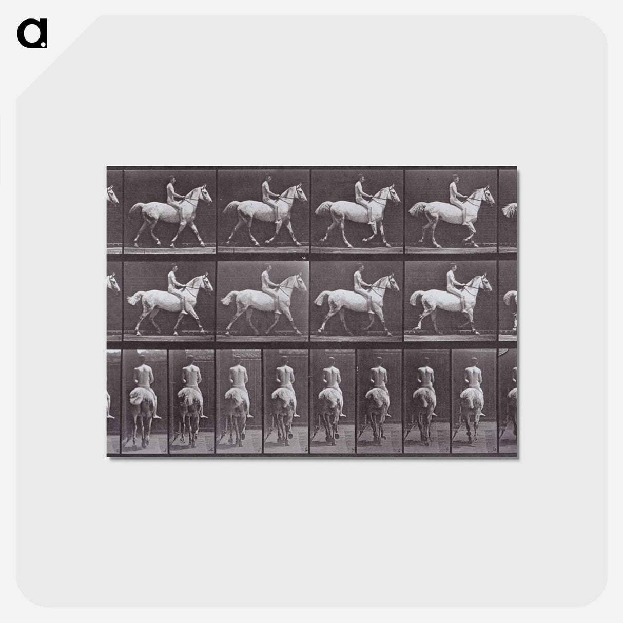 アートポストカード-Animal Locomotion
- エドワード マイブリッジ Postcard.